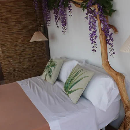 酒店 Joanna Peñíscola